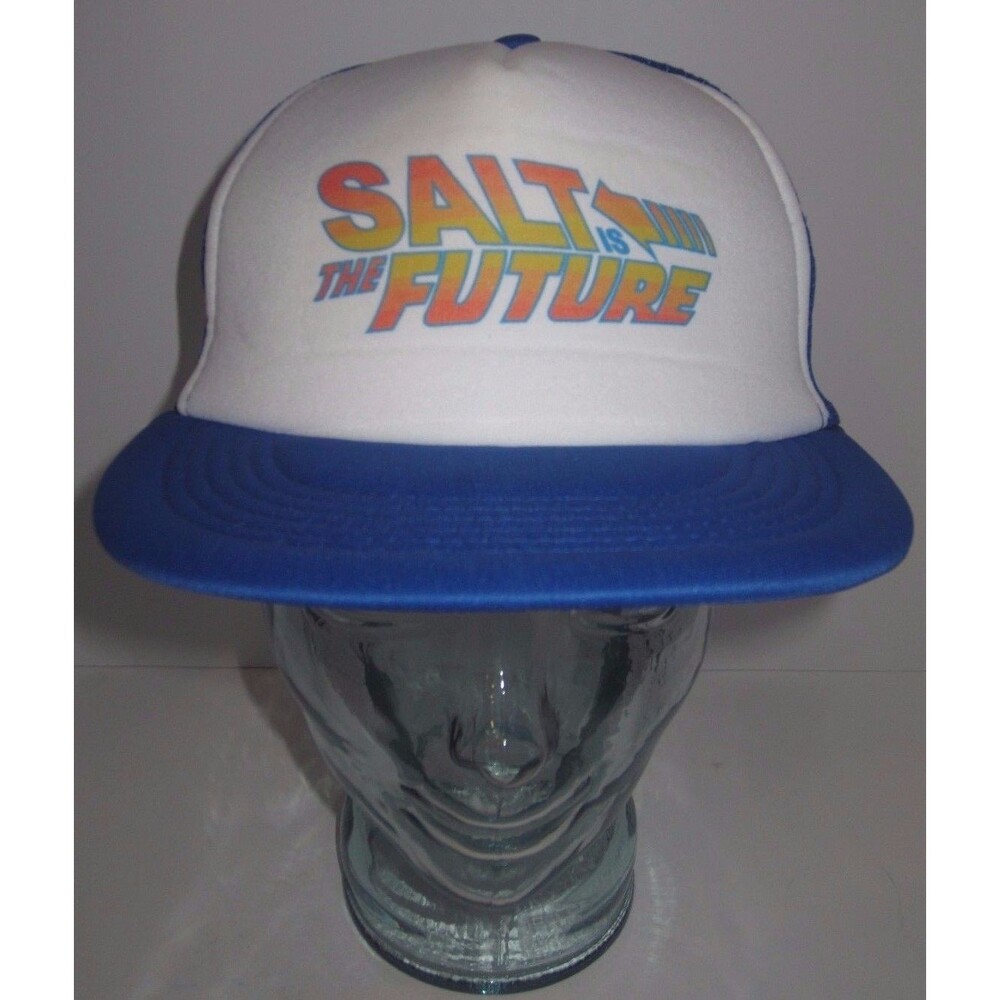 Salt Is the Future Hitwear Mesh Trucker Hat Cap Snapback SaltStack SaltConf16